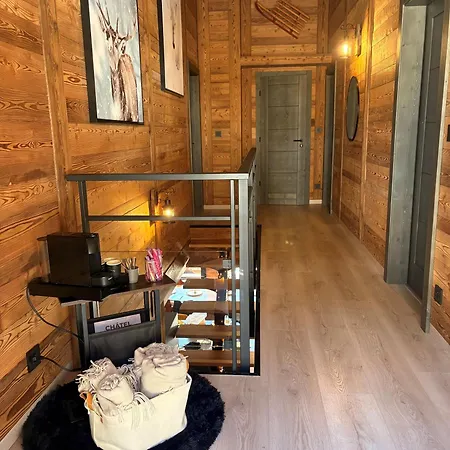 Chalet Mitoyen La Sapinette - Bo Immobilier - Reduced Prices On Ski Passes Chatel & Portes Du Soleil * Châtel